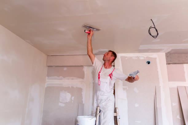 Best Acoustic or Soundproof Drywall Installation  in Lake Lure, NC